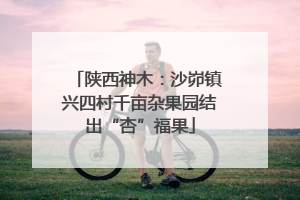 陕西神木：沙峁镇兴四村千亩杂果园结出“杏”福果