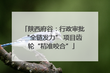 陕西府谷：行政审批“全链发力” 项目齿轮“精准咬合”