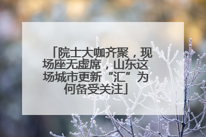 院士大咖齐聚，现场座无虚席，山东这场城市更新“汇”为何备受关注