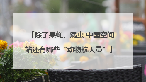 除了果蝇、涡虫 中国空间站还有哪些“动物航天员”