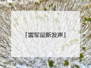 雷军最新发声