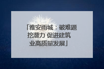 雅安雨城：破难题 挖潜力 促进建筑业高质量发展