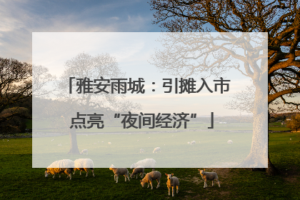 雅安雨城：引摊入市 点亮“夜间经济”