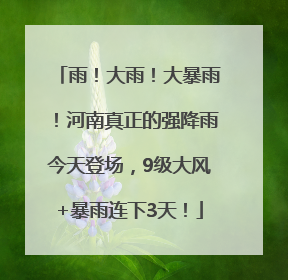 雨！大雨！大暴雨！河南真正的强降雨今天登场，9级大风+暴雨连下3天！