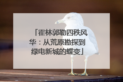 霍林郭勒四秩风华：从荒原勘探到绿电新城的蝶变