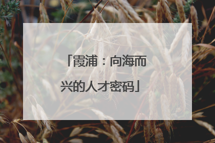 霞浦：向海而兴的人才密码