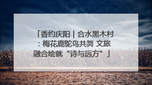 香约庆阳｜合水黑木村：梅花鹿鸵鸟共舞 文旅融合绘就“诗与远方”