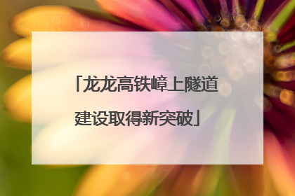 龙龙高铁嶂上隧道建设取得新突破