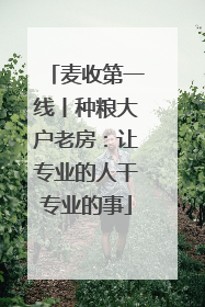 麦收第一线丨种粮大户老房：让专业的人干专业的事