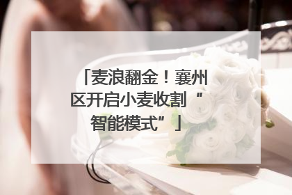 麦浪翻金！襄州区开启小麦收割“智能模式”