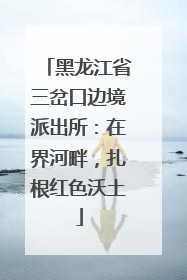 黑龙江省三岔口边境派出所：在界河畔，扎根红色沃土