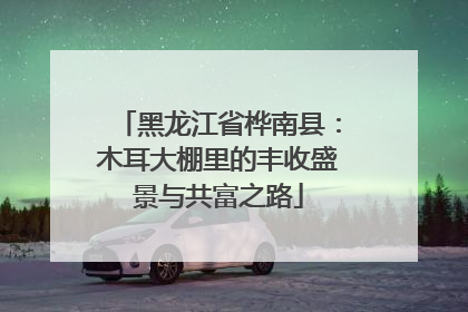 黑龙江省桦南县：木耳大棚里的丰收盛景与共富之路