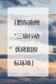 黔东南州“三项行动”优化招投标环境
