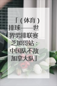 （体育）排球——世界男排联赛芝加哥站：中国队不敌加拿大队