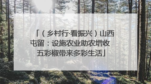 （乡村行·看振兴）山西屯留：设施农业助农增收 五彩椒带来多彩生活