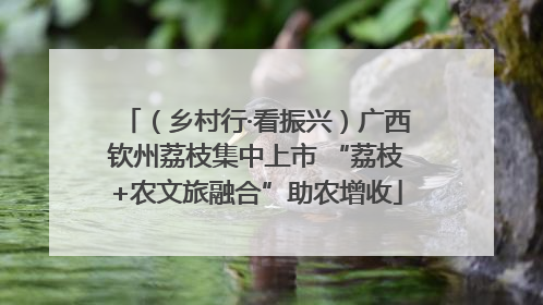 （乡村行·看振兴）广西钦州荔枝集中上市 “荔枝+农文旅融合”助农增收
