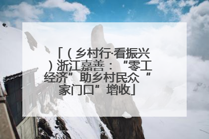 （乡村行·看振兴）浙江嘉善：“零工经济”助乡村民众“家门口”增收