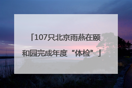 107只北京雨燕在颐和园完成年度“体检”
