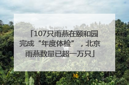 107只雨燕在颐和园完成“年度体检”，北京雨燕数量已超一万只