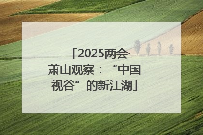 2025两会·萧山观察：“中国视谷”的新江湖
