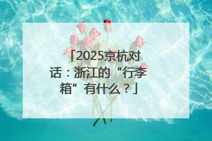 2025京杭对话：浙江的“行李箱”有什么？
