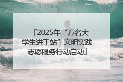 2025年“万名大学生进千站”文明实践志愿服务行动启动