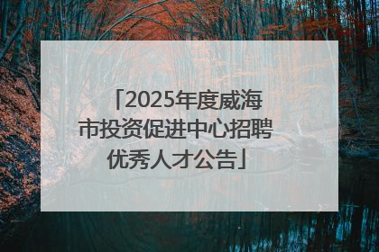 2025年度威海市投资促进中心招聘优秀人才公告