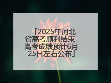 2025年河北省高考顺利结束 高考成绩预计6月25日左右公布