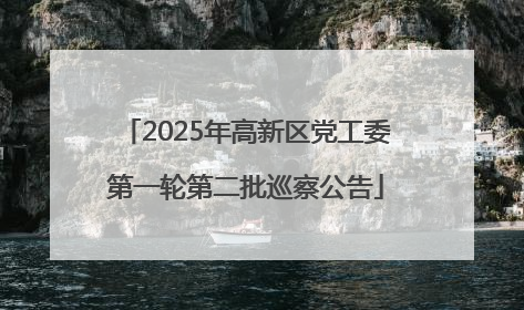 2025年高新区党工委第一轮第二批巡察公告