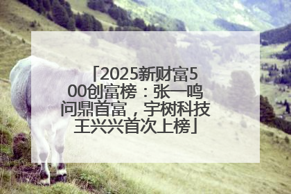 2025新财富500创富榜：张一鸣问鼎首富，宇树科技王兴兴首次上榜