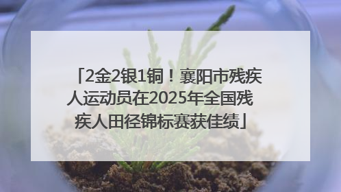 2金2银1铜！襄阳市残疾人运动员在2025年全国残疾人田径锦标赛获佳绩