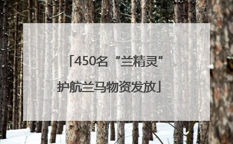 450名“兰精灵”护航兰马物资发放