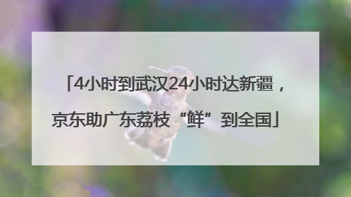 4小时到武汉24小时达新疆，京东助广东荔枝“鲜”到全国