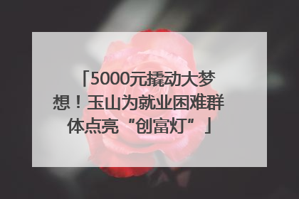 5000元撬动大梦想！玉山为就业困难群体点亮“创富灯”