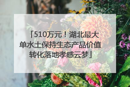 510万元！湖北最大单水土保持生态产品价值转化落地孝感云梦