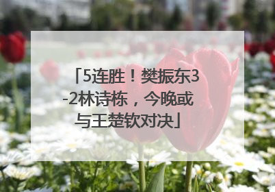 5连胜！樊振东3-2林诗栋，今晚或与王楚钦对决