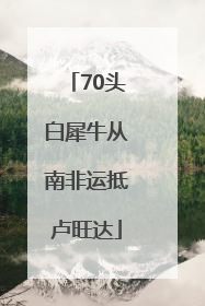 70头白犀牛从南非运抵卢旺达