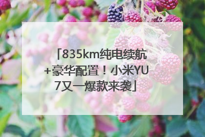 835km纯电续航+豪华配置！小米YU7又一爆款来袭
